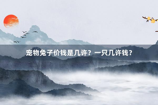 宠物兔子价钱是几许？一只几许钱？