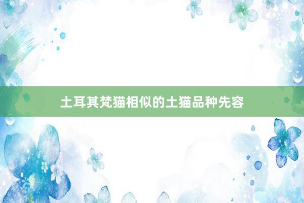 土耳其梵猫相似的土猫品种先容