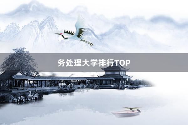 务处理大学排行TOP