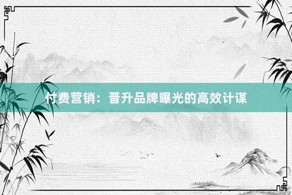 付费营销：晋升品牌曝光的高效计谋